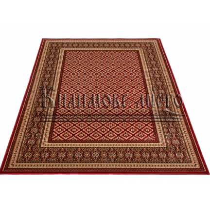Synthetic carpet Standard Apium Terakota - высокое качество по лучшей цене в Украине.